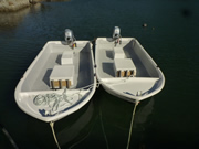 ２馬力船写真